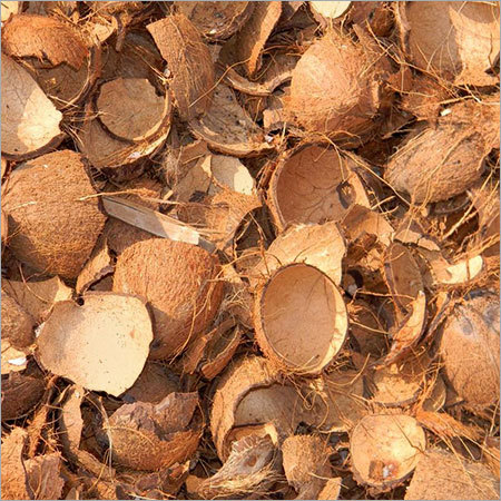 image of coconut shells